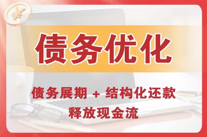 博尔塔拉债务优化