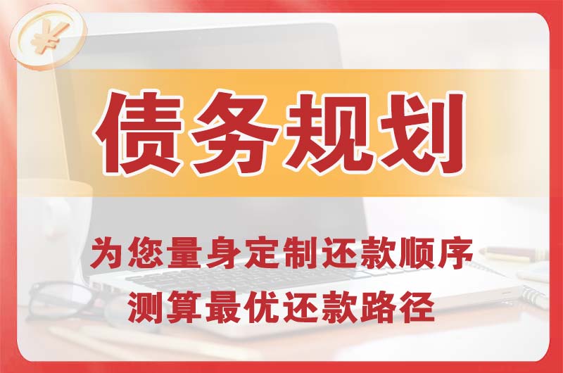 博尔塔拉债务规划